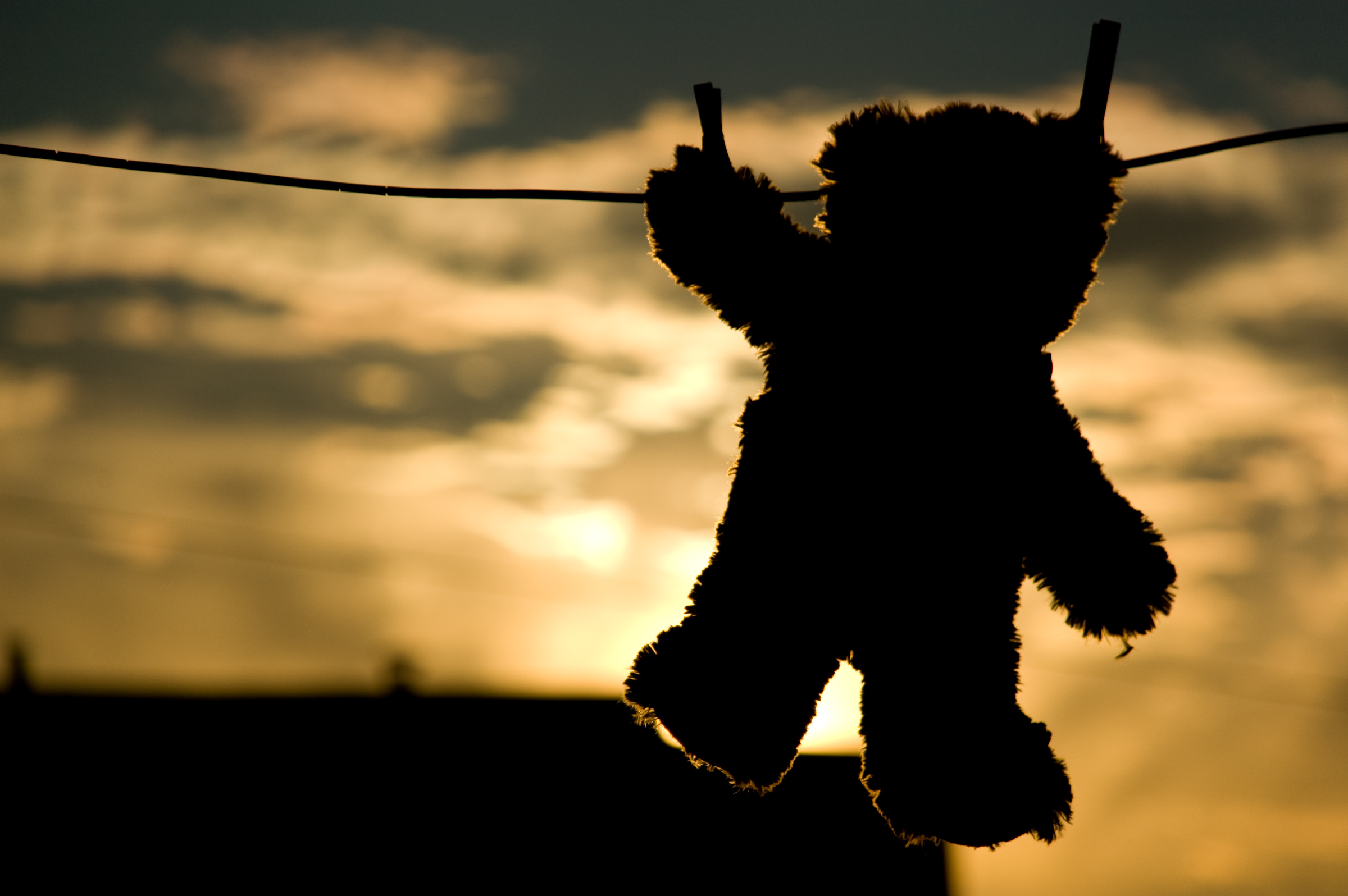 Nounours au Coucher de Soleil dans une cours arrière entre Basil